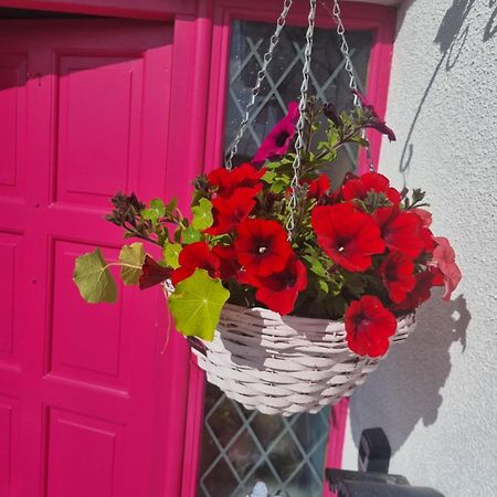 شقة The Pink Door Killala المظهر الخارجي الصورة